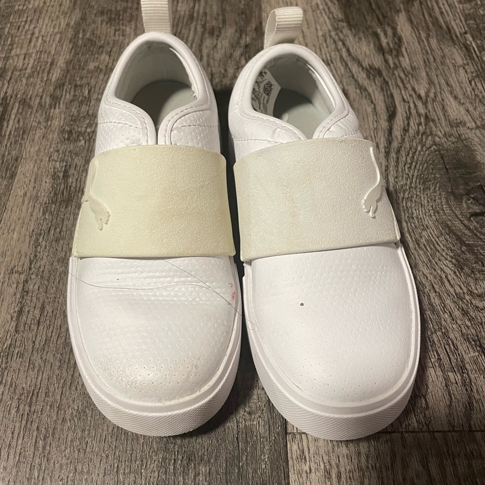 White puma